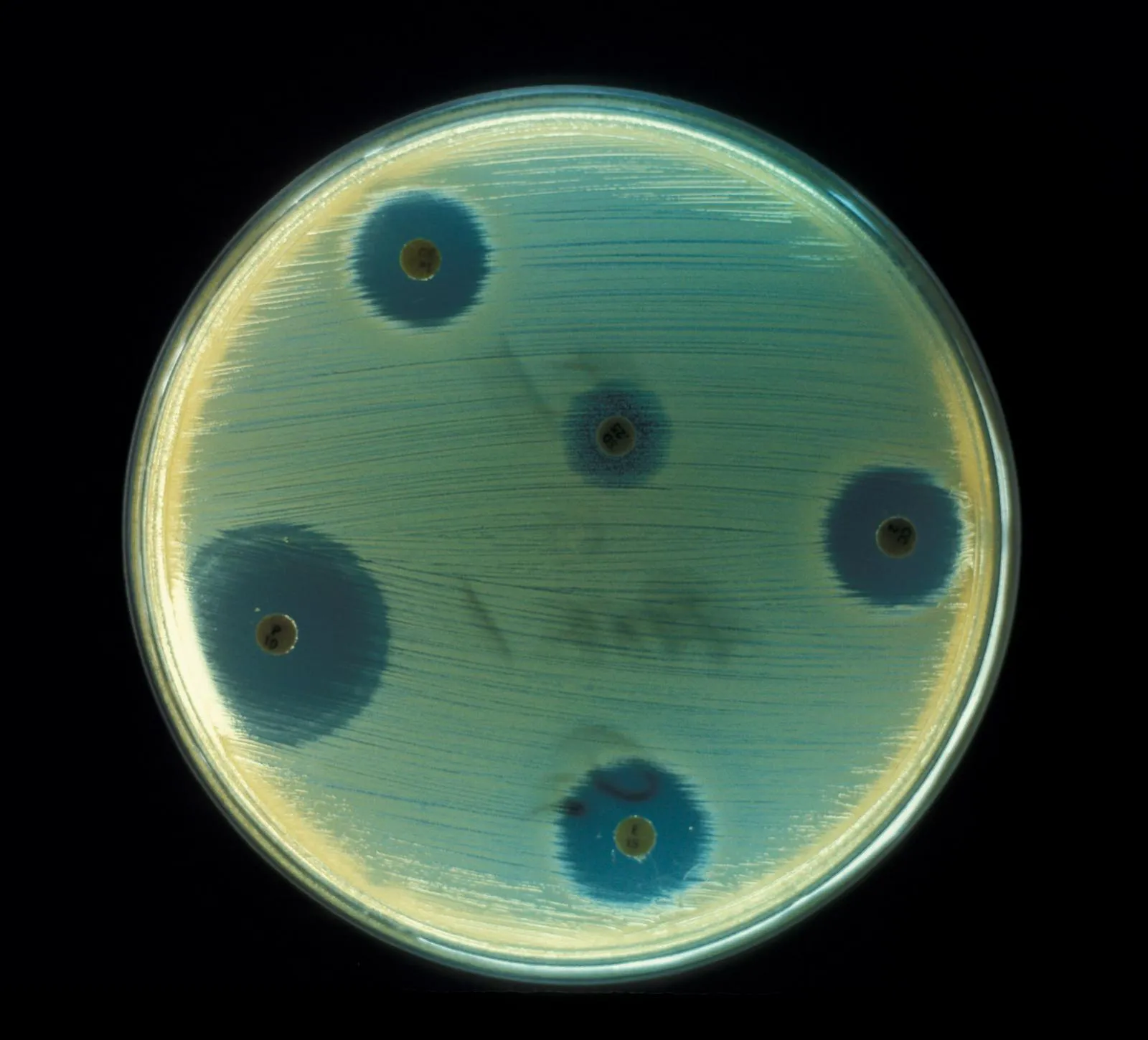 Alexander Fleming