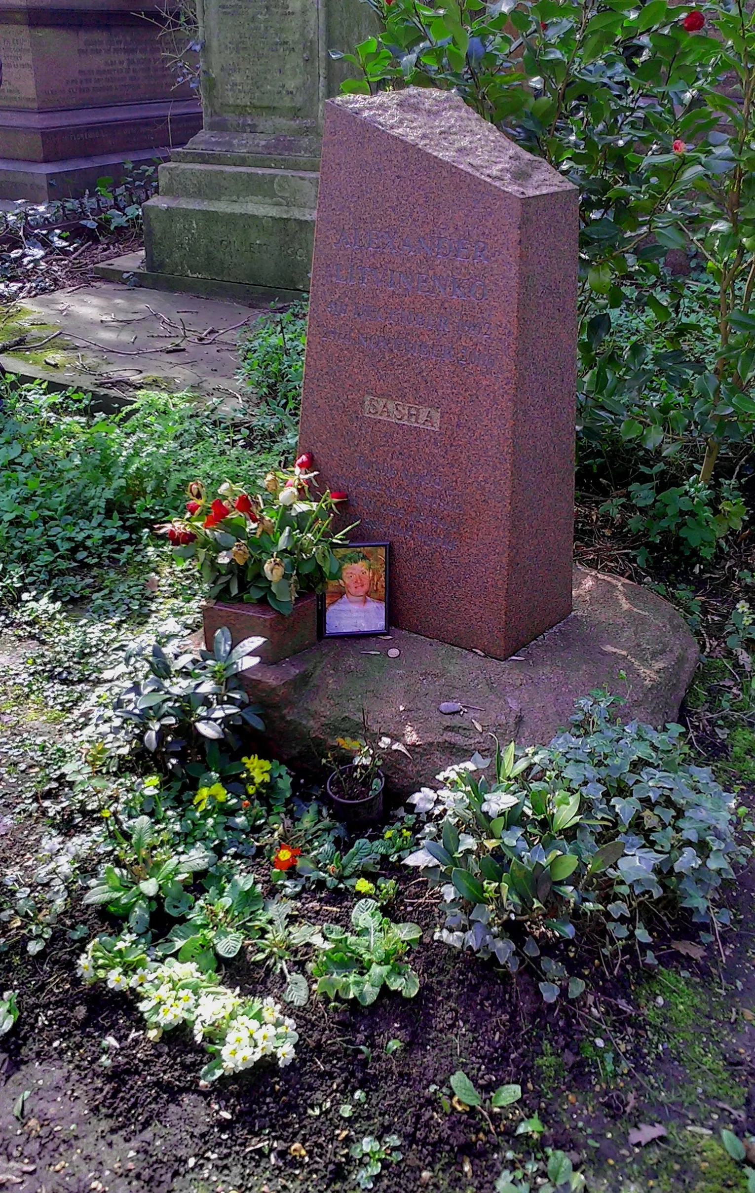 Alexander Litvinenko