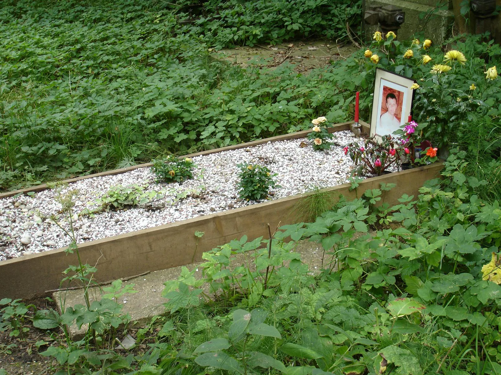 Alexander Litvinenko