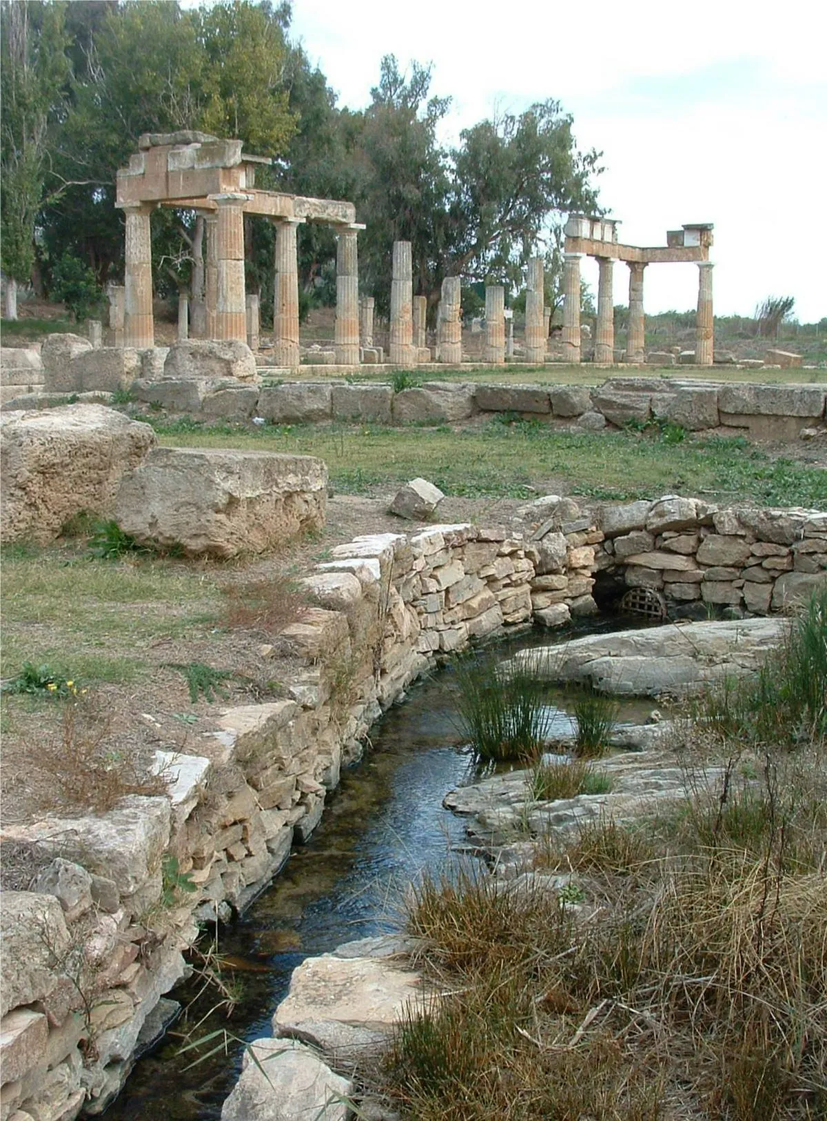 Artemis