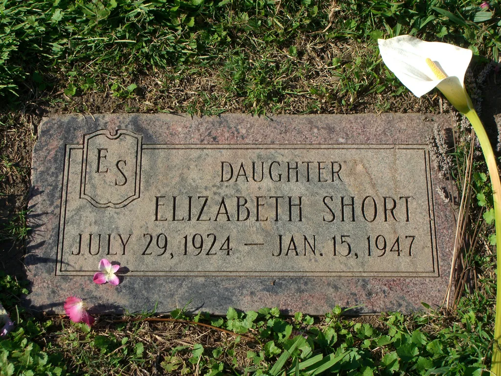 Black Dahlia