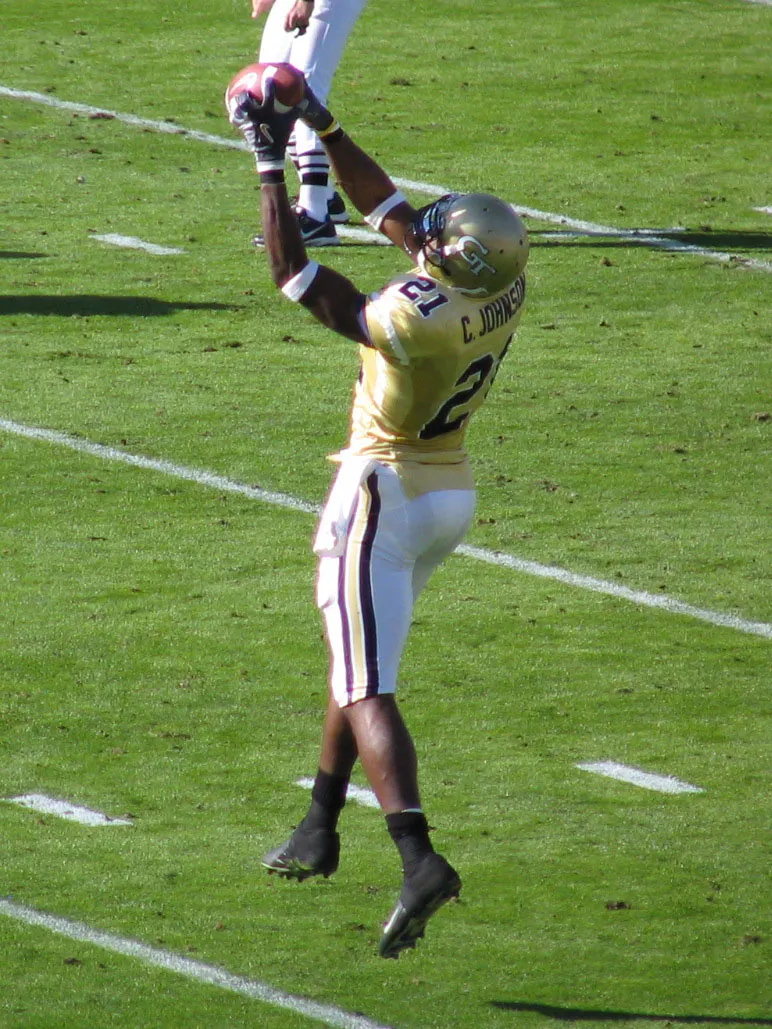Calvin Johnson