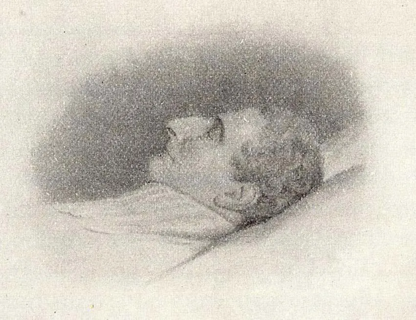 Charles XIV John of Sweden