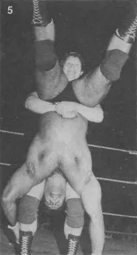 Don Muraco