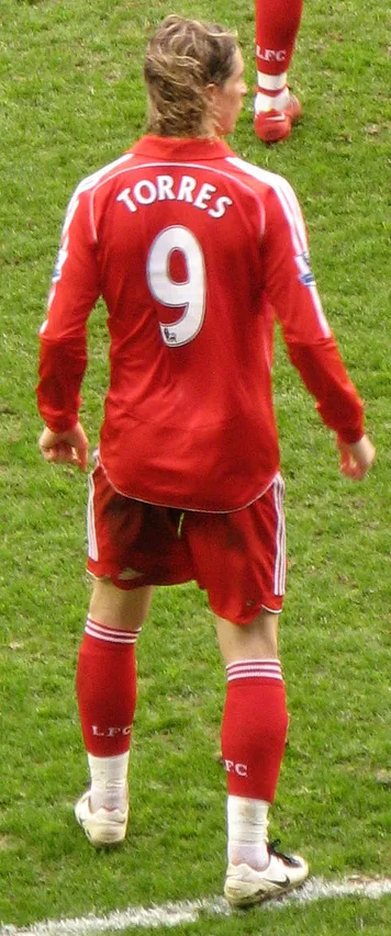 Fernando Torres