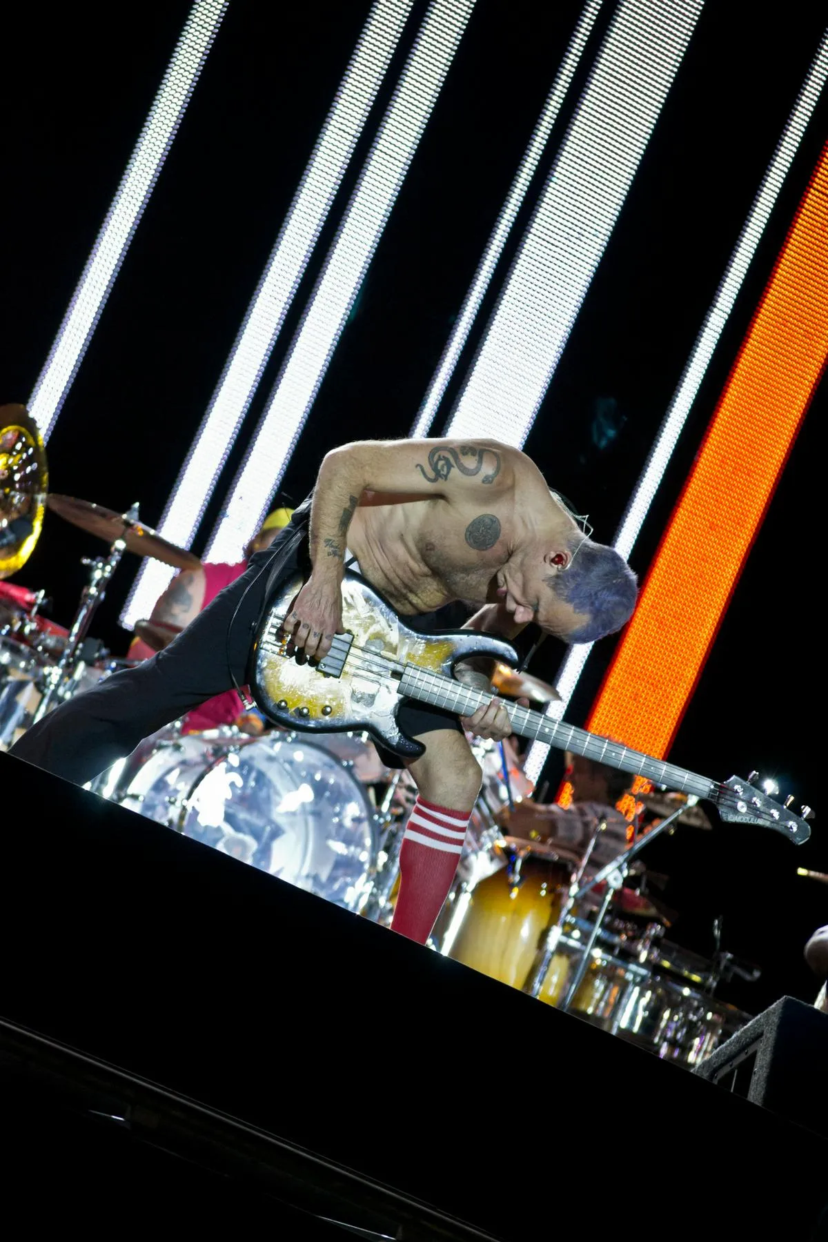 Flea