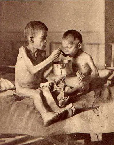 Fridtjof Nansen