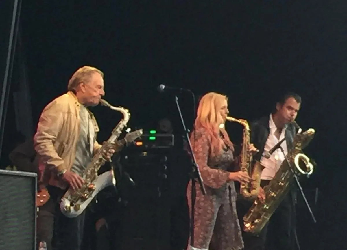 Hans Dulfer