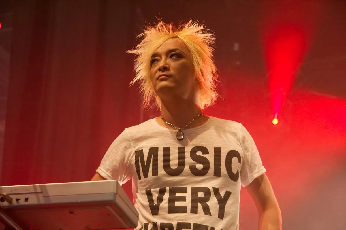 Hide