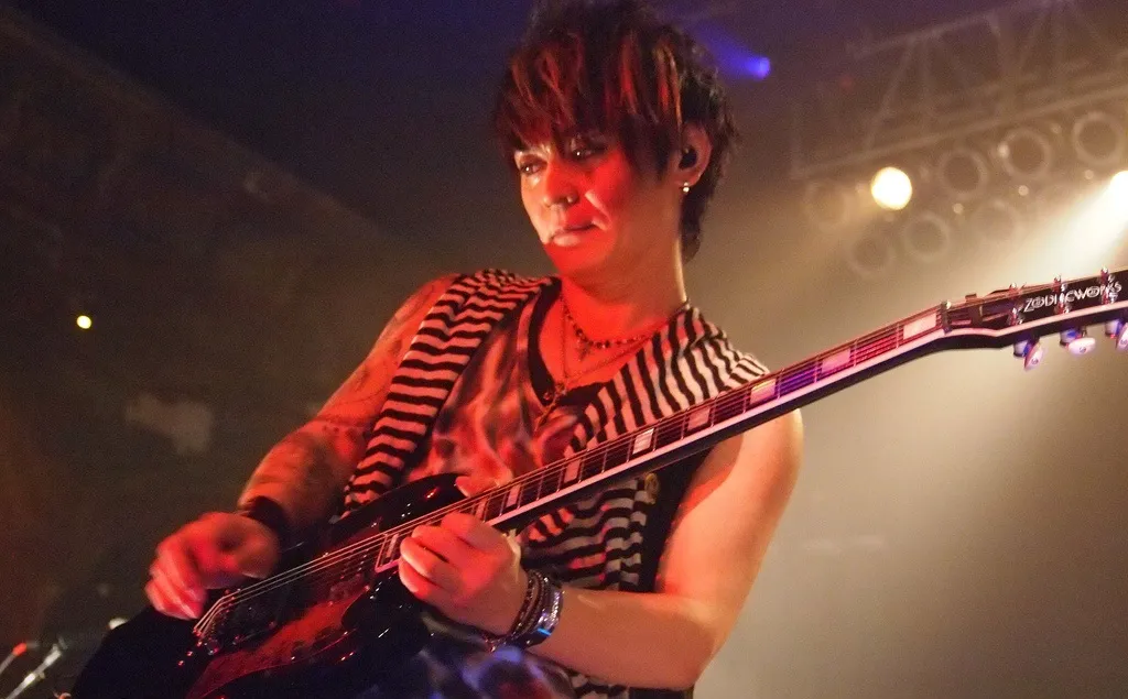 Hide