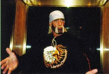 Hulk Hogan