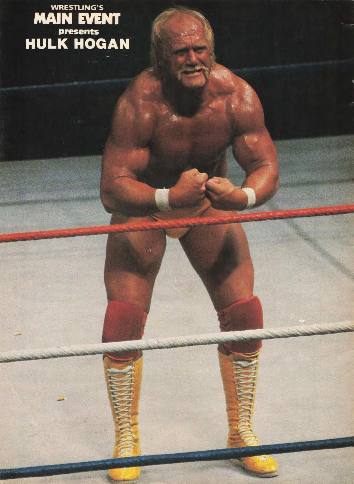 Hulk Hogan