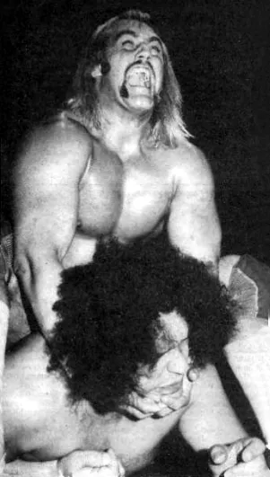 Hulk Hogan
