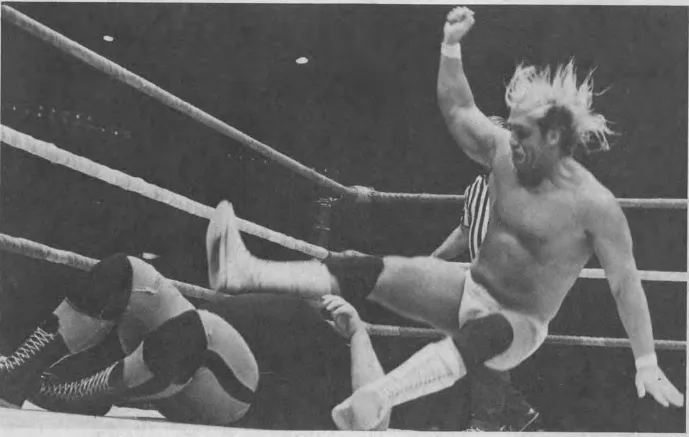 Hulk Hogan