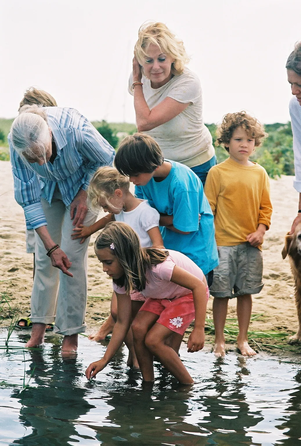 Jane Goodall