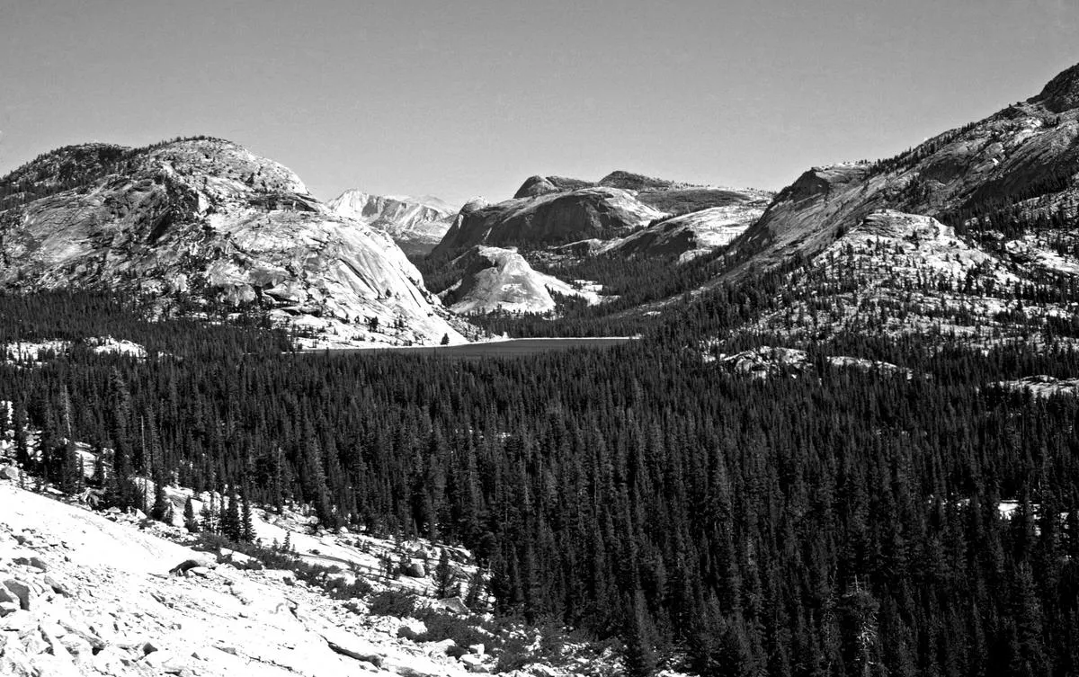 John Muir