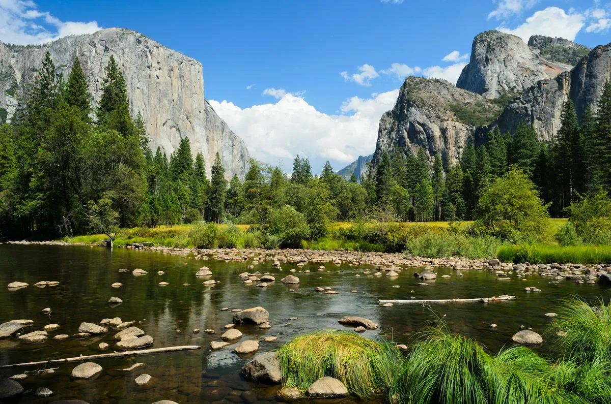 John Muir