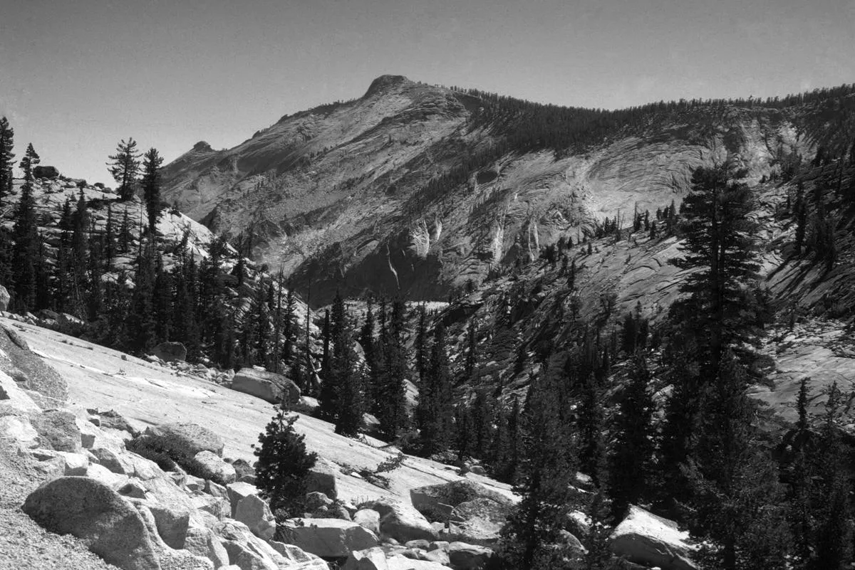 John Muir