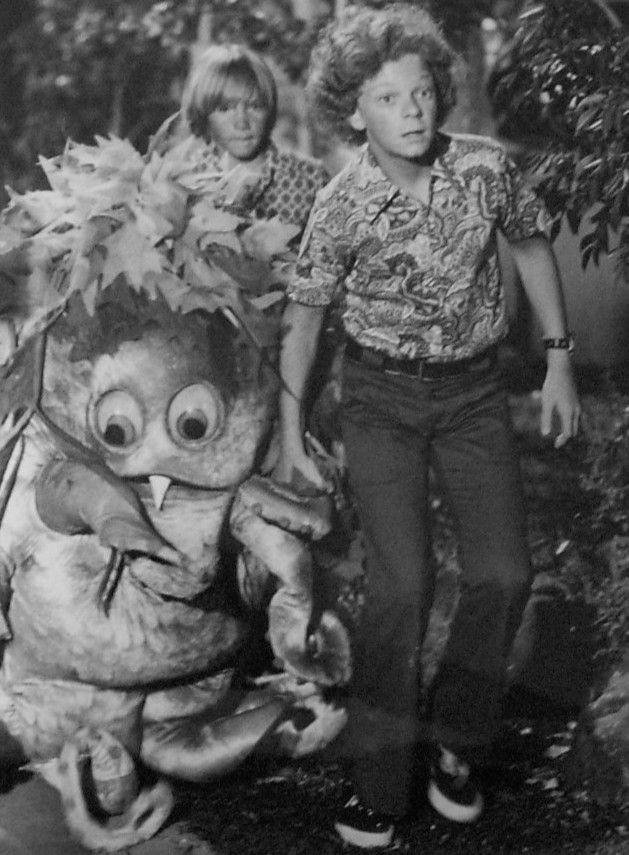 Johnny Whitaker