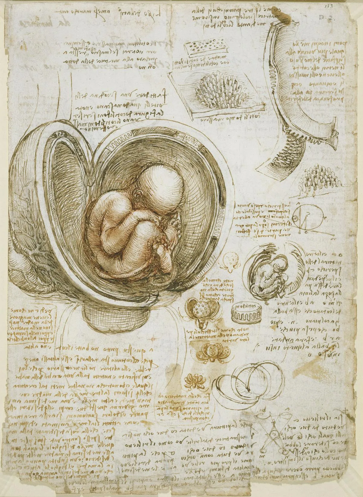 Leonardo da Vinci