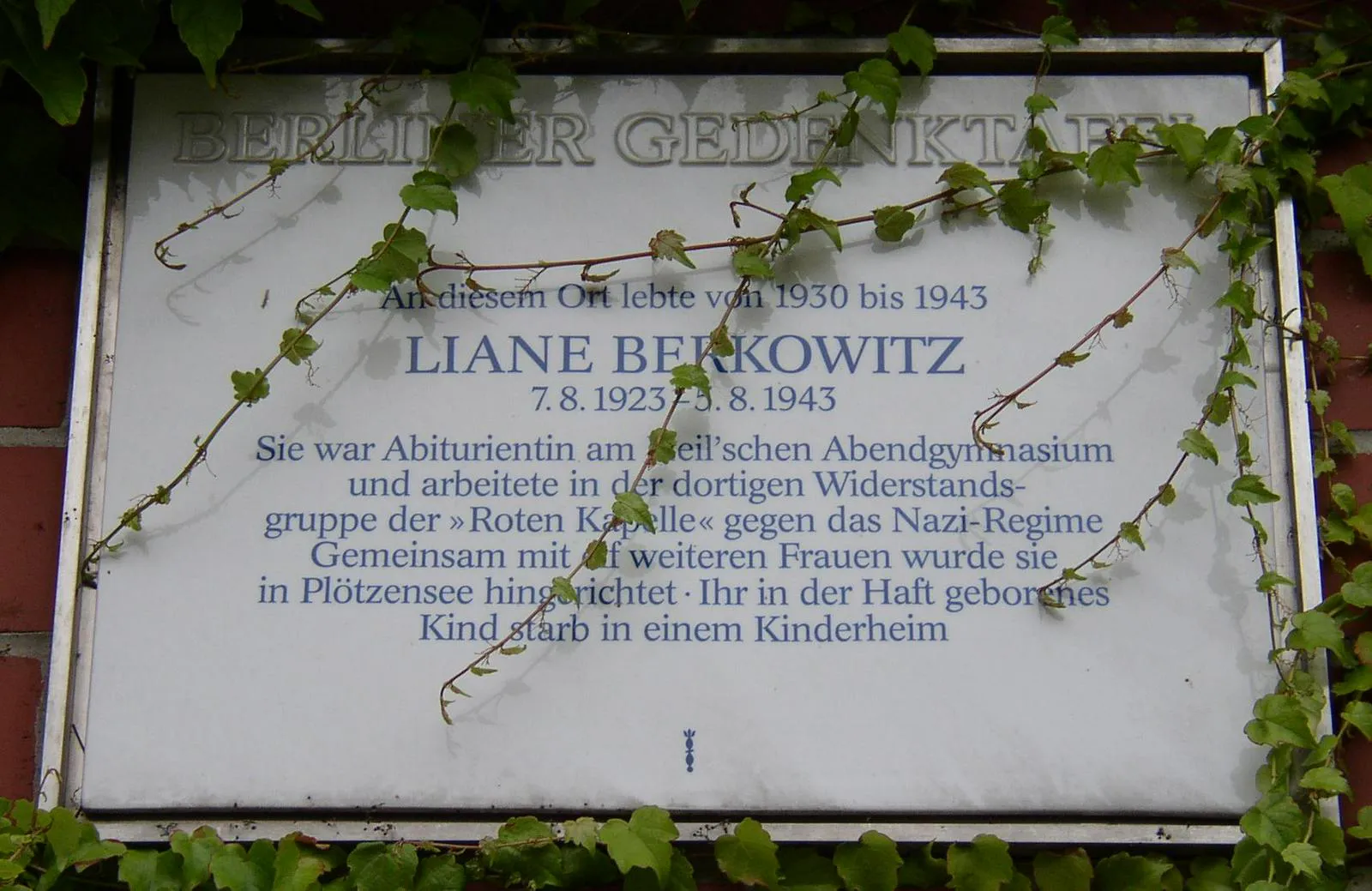 Liane Berkowitz