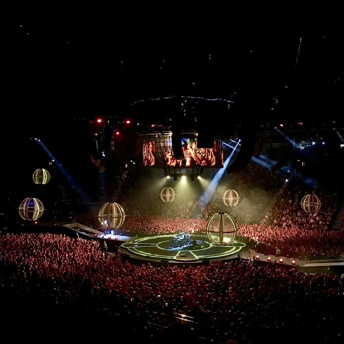 Muse