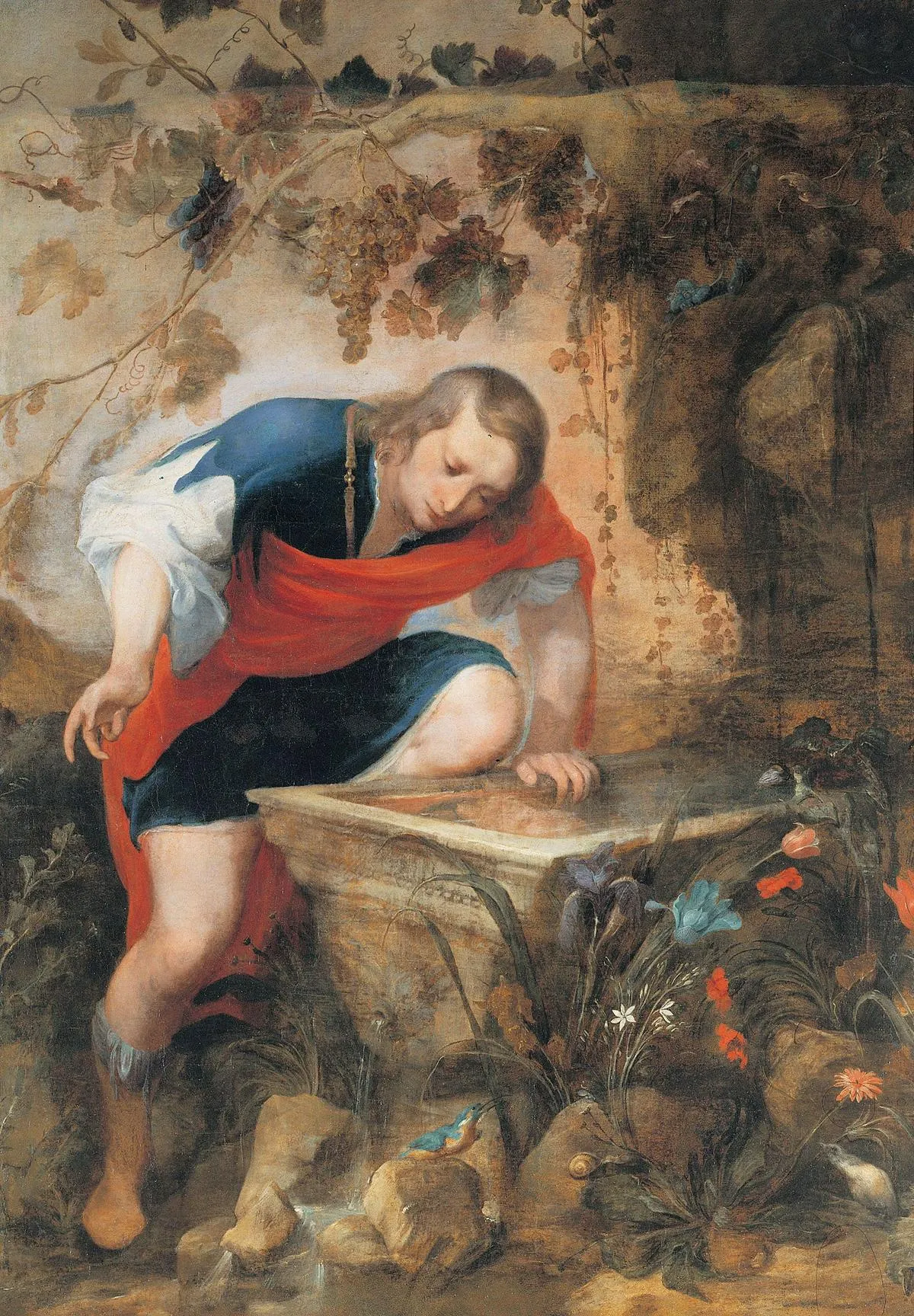 Narcissus