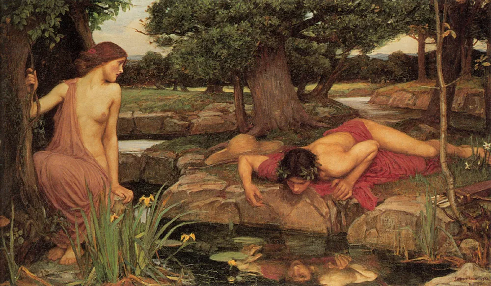 Narcissus