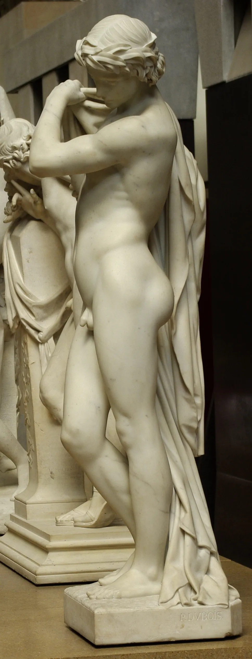Narcissus