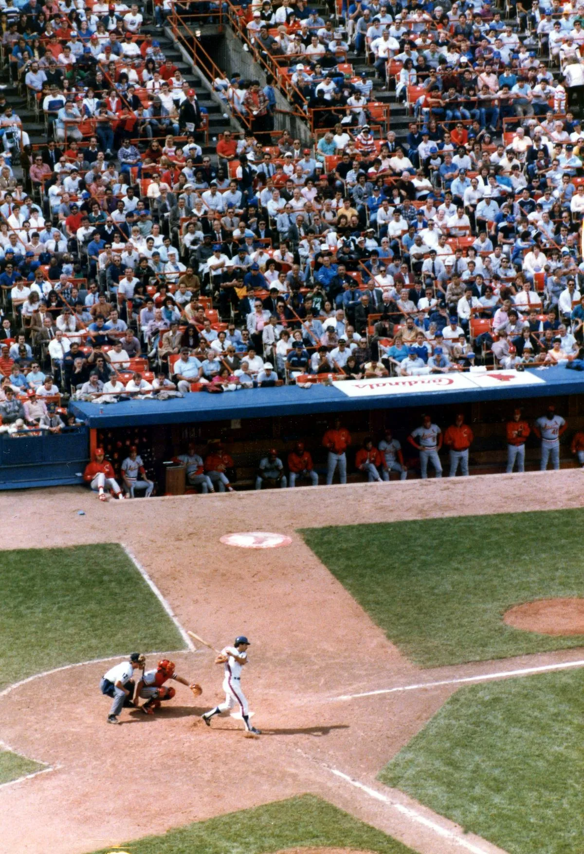 New York Mets