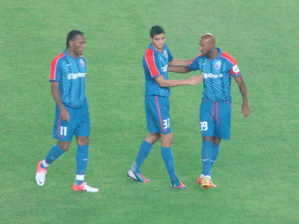 Nicolas Anelka
