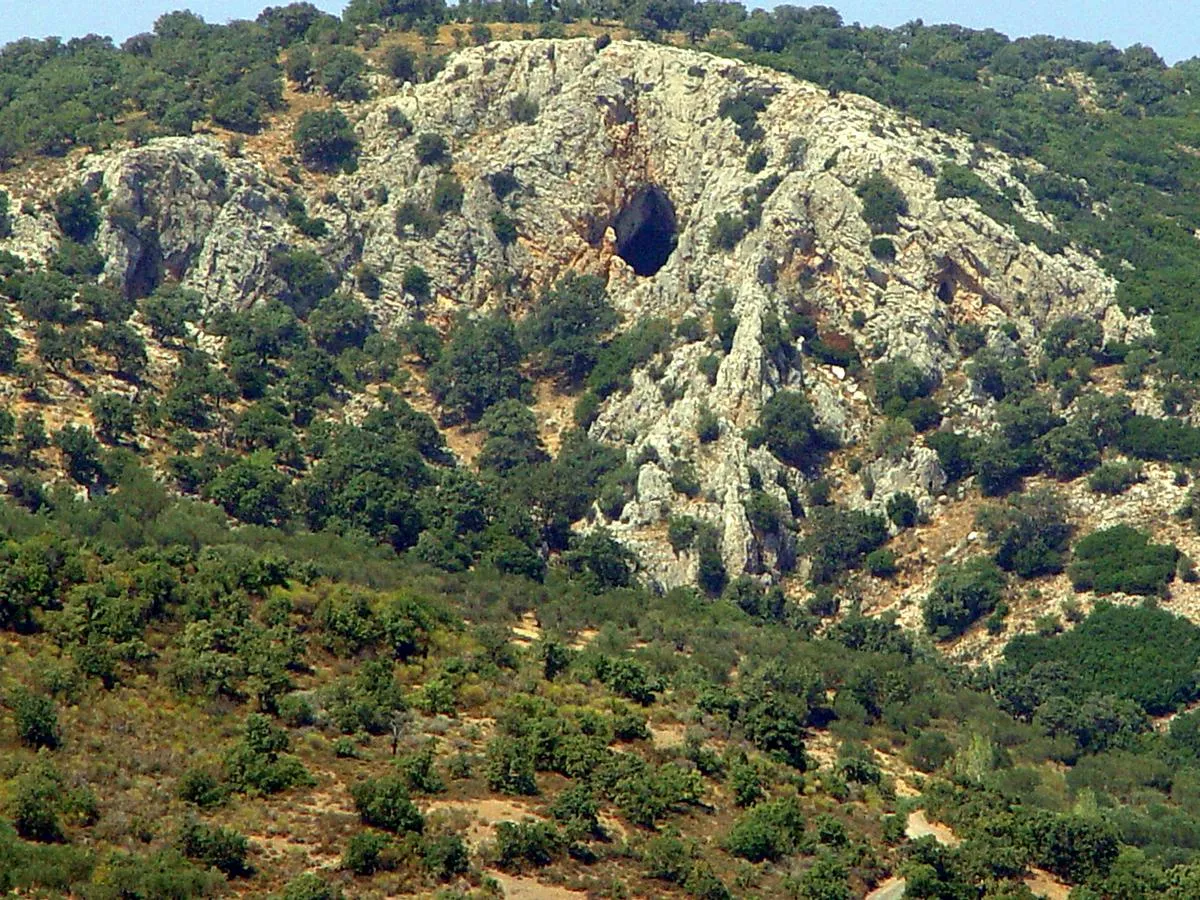 Orpheus