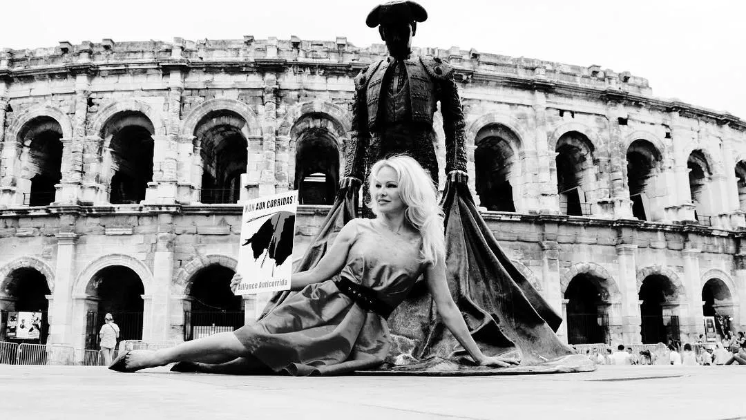 Pamela Anderson