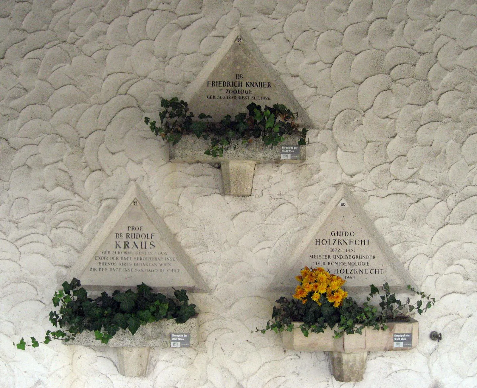 Rudolf Kraus