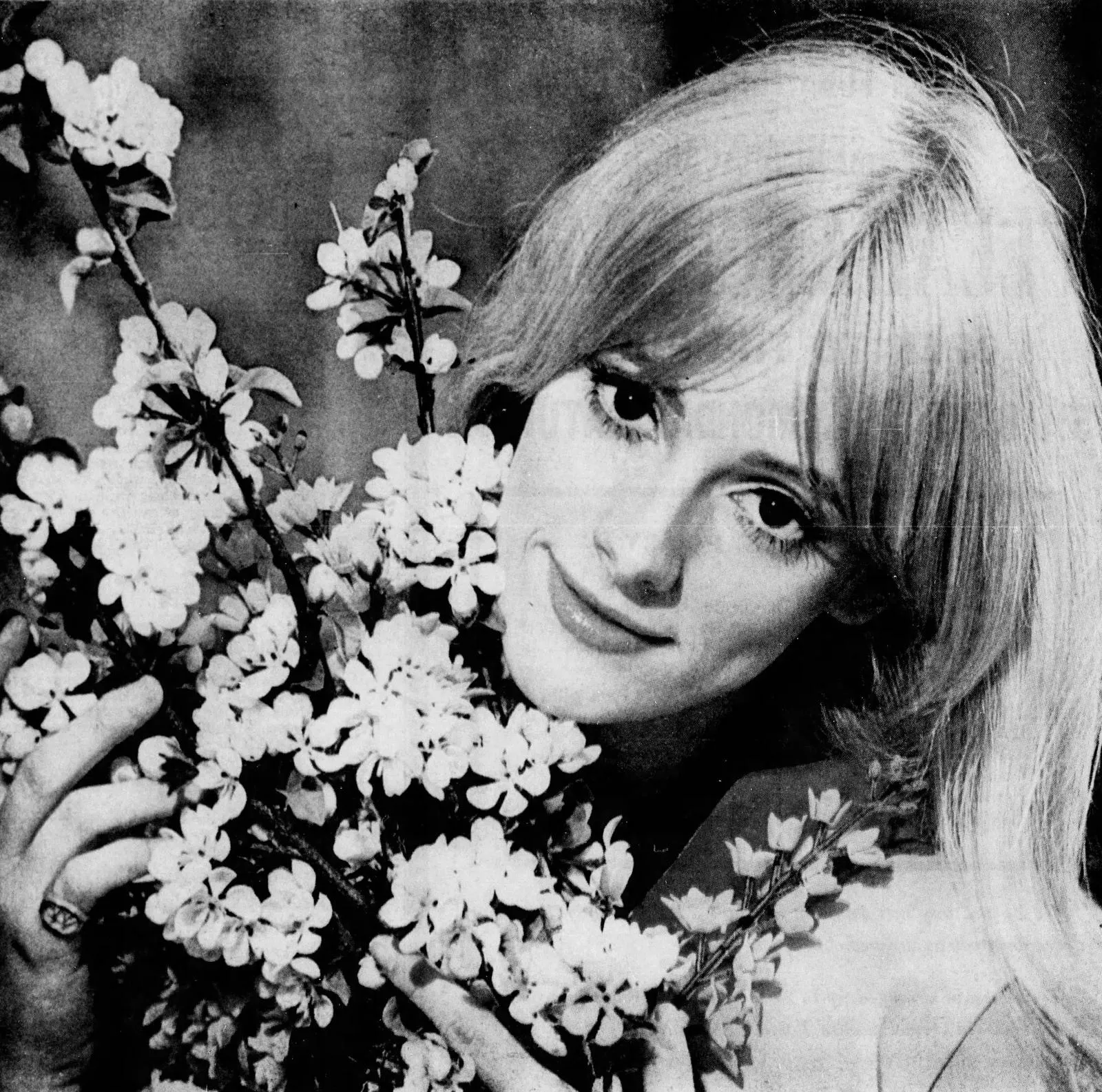 Sondra Locke