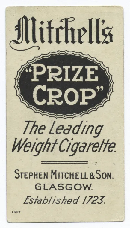 Stephen Mitchell