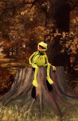 The Muppets