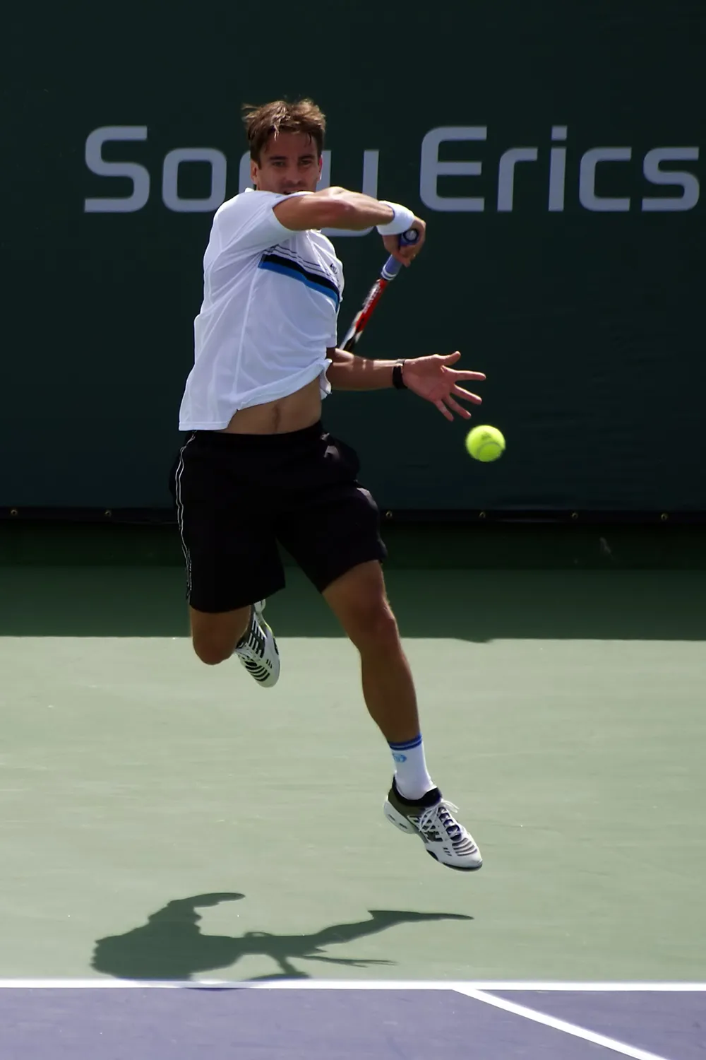 Tommy Robredo