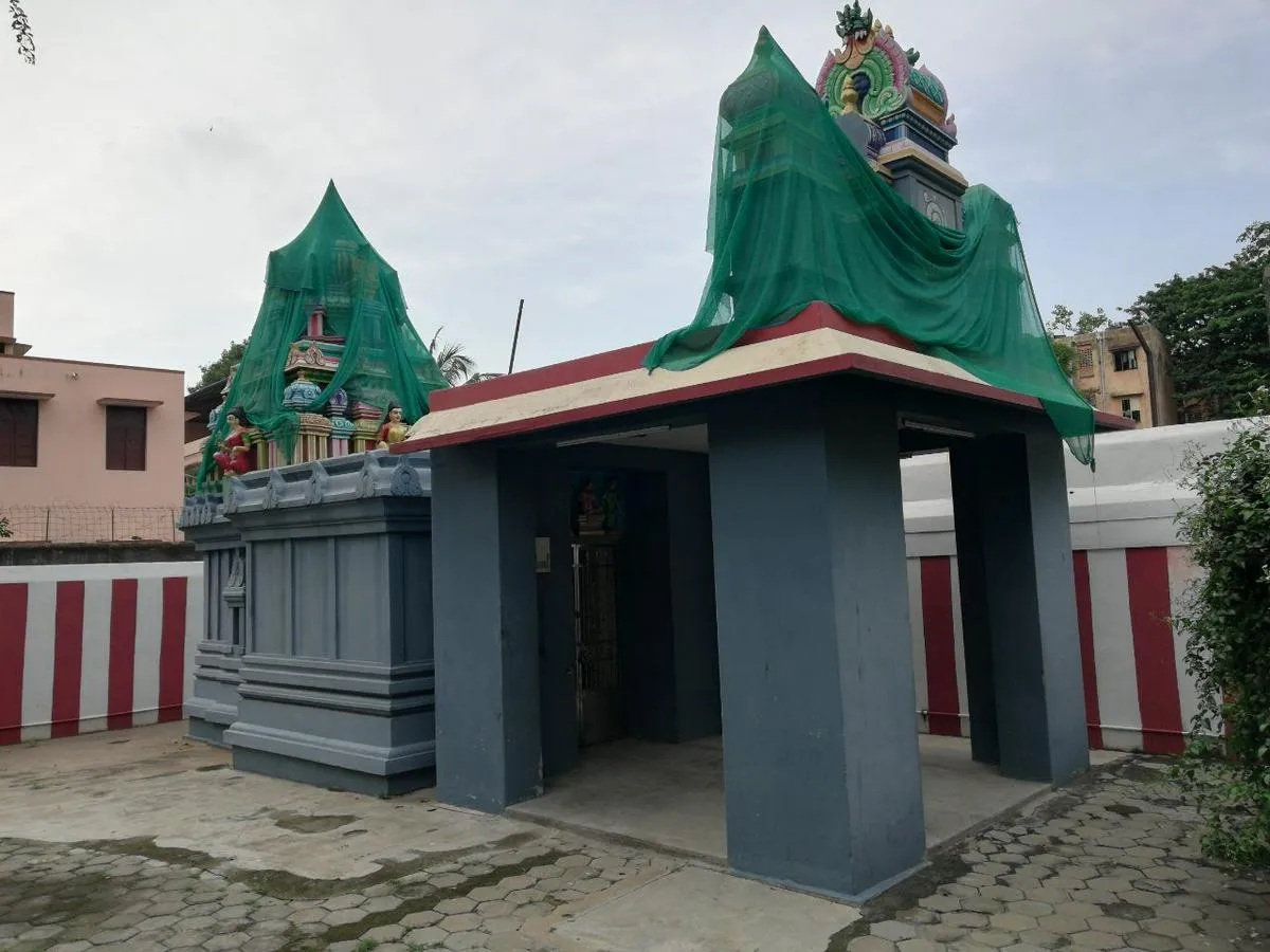 Vasuki