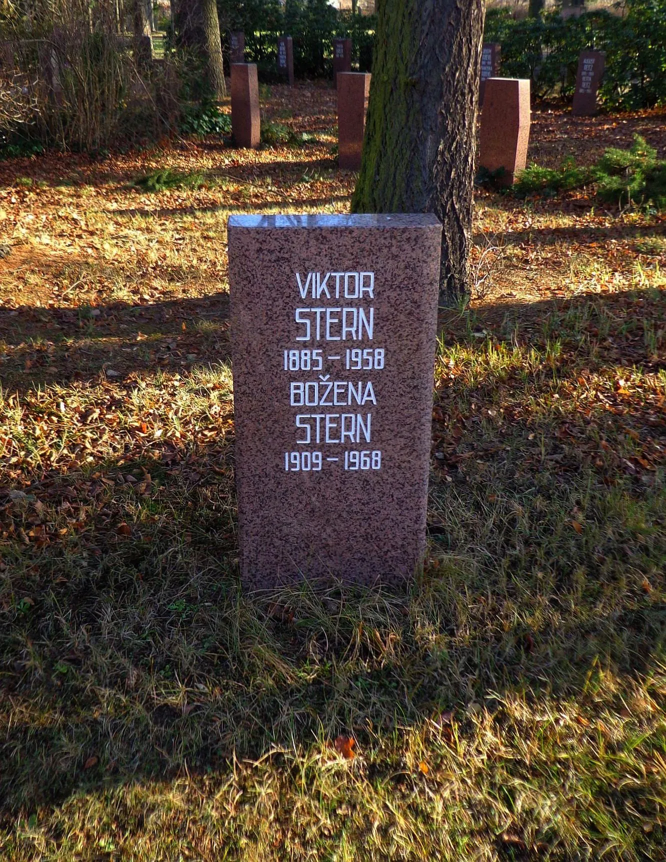 Viktor Stern
