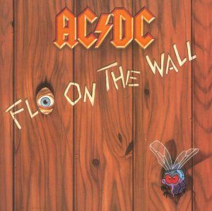 Fly on the Wall