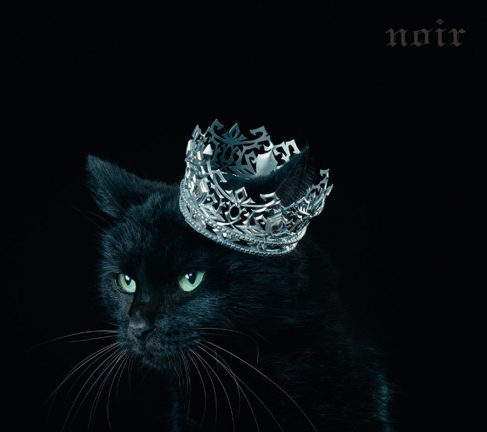 BEST SELECTION “noir”