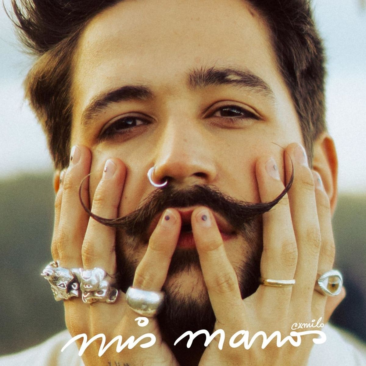 Mis manos