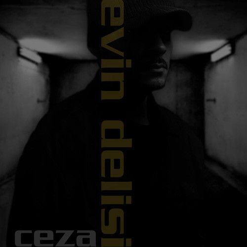 Evin Delisi