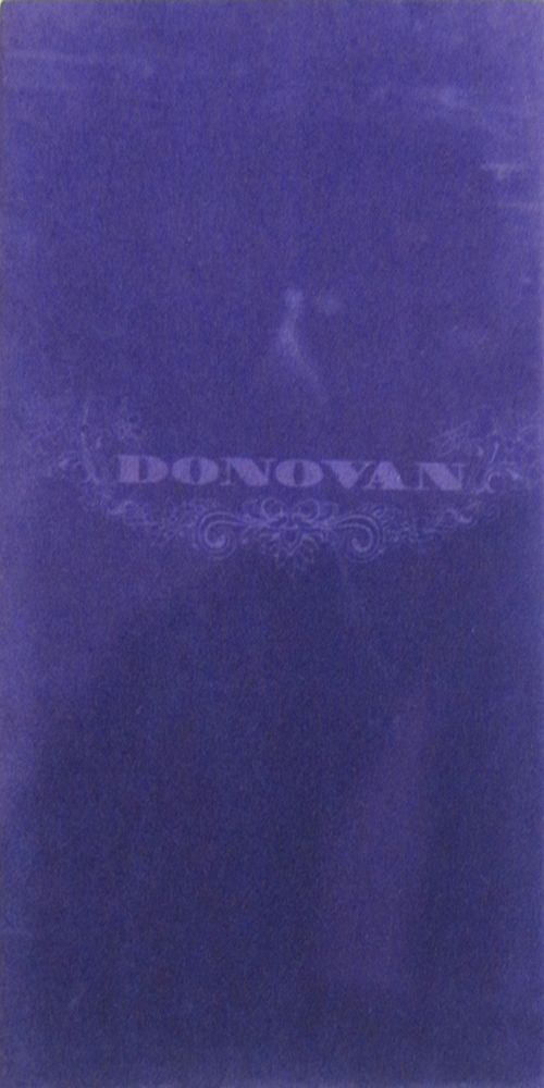 Try for the Sun: The Journey of Donovan