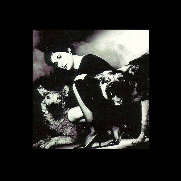 Enya / The Celts