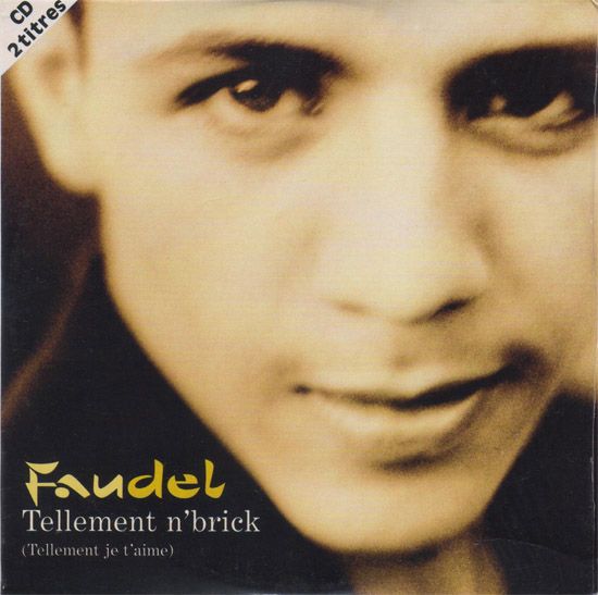 Tellement n'brick (Tellement je t'aime)