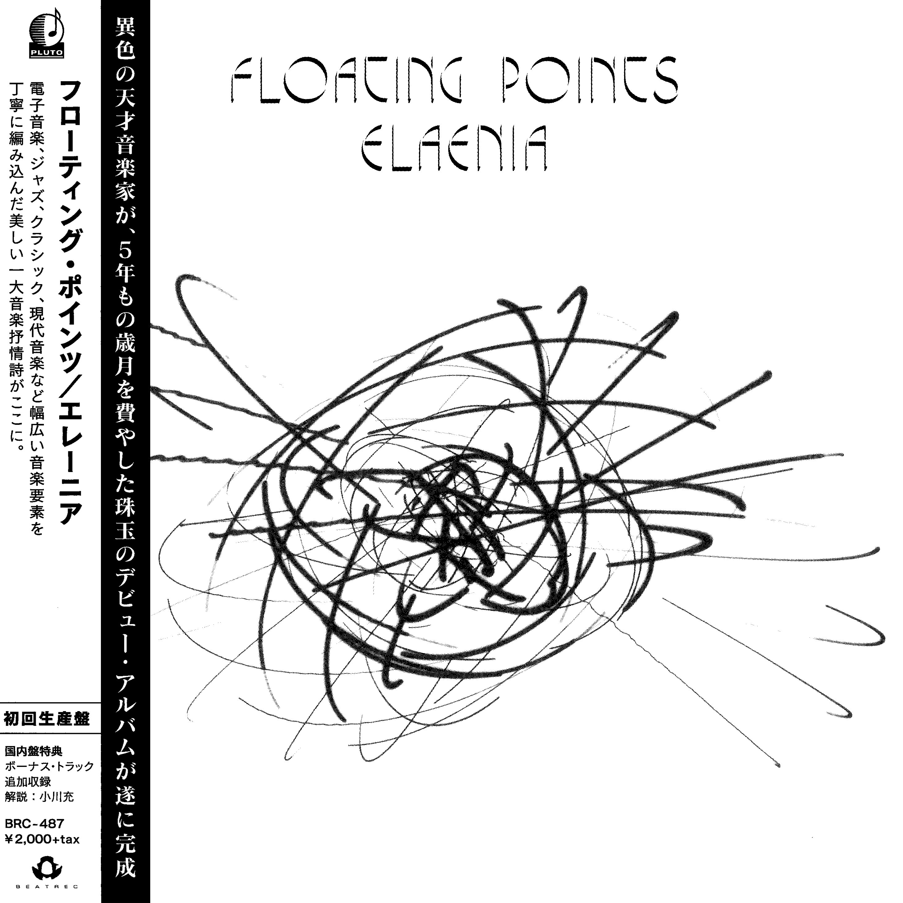 Elaenia