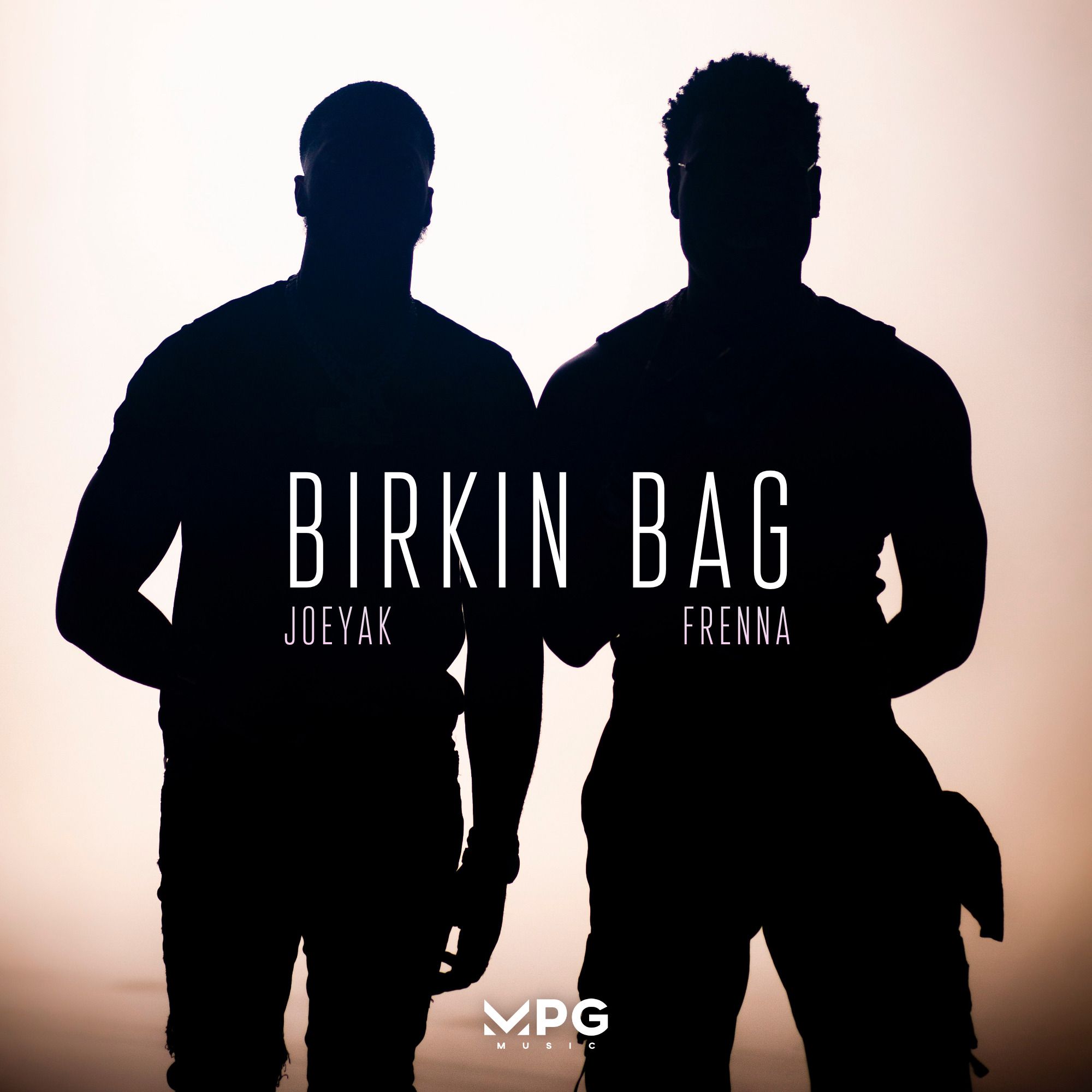 Birkin Bag