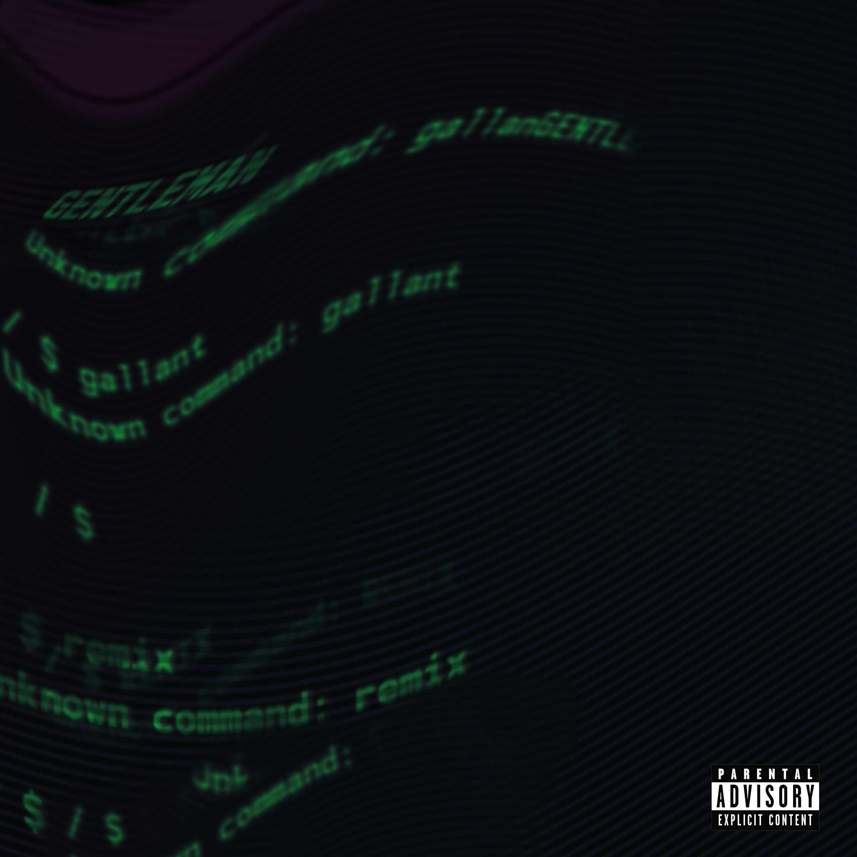 Gentleman (remix)
